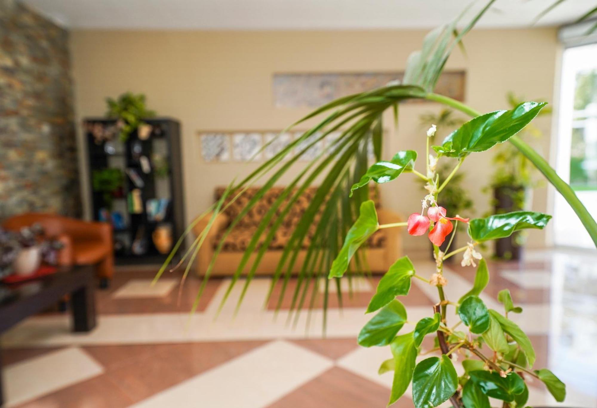 Hotel Pradillo Conil Conil De La Frontera Εξωτερικό φωτογραφία